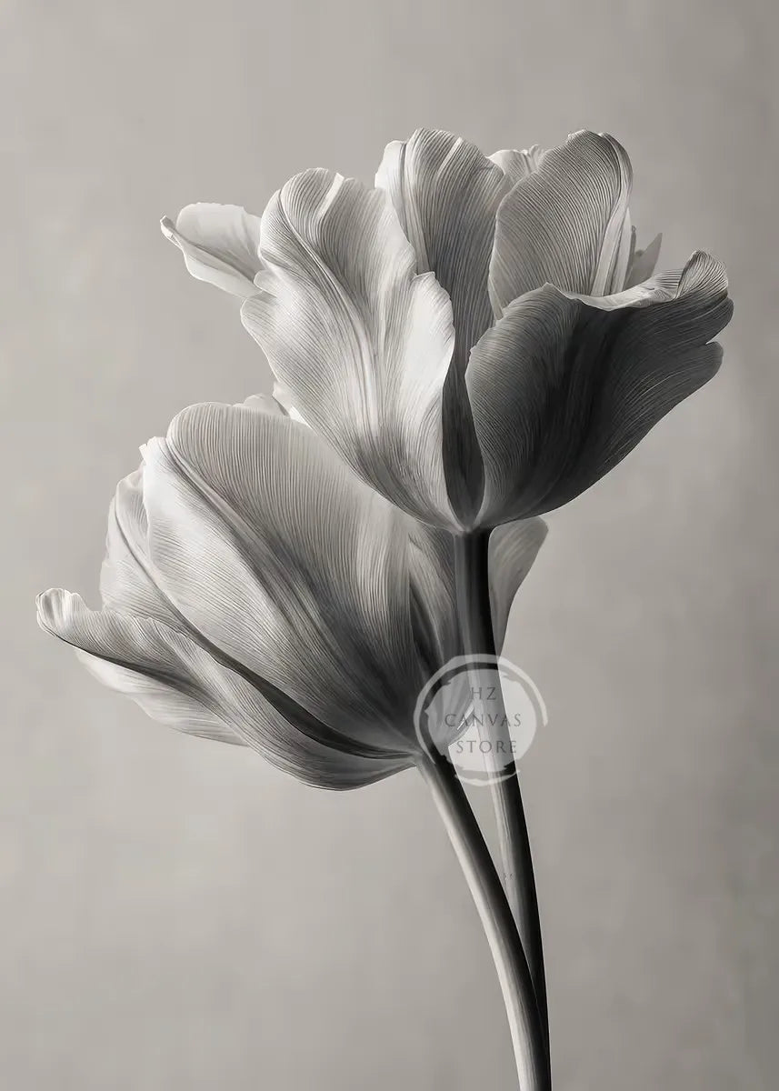 Monochrome Burning Rose & Calla Lily Art