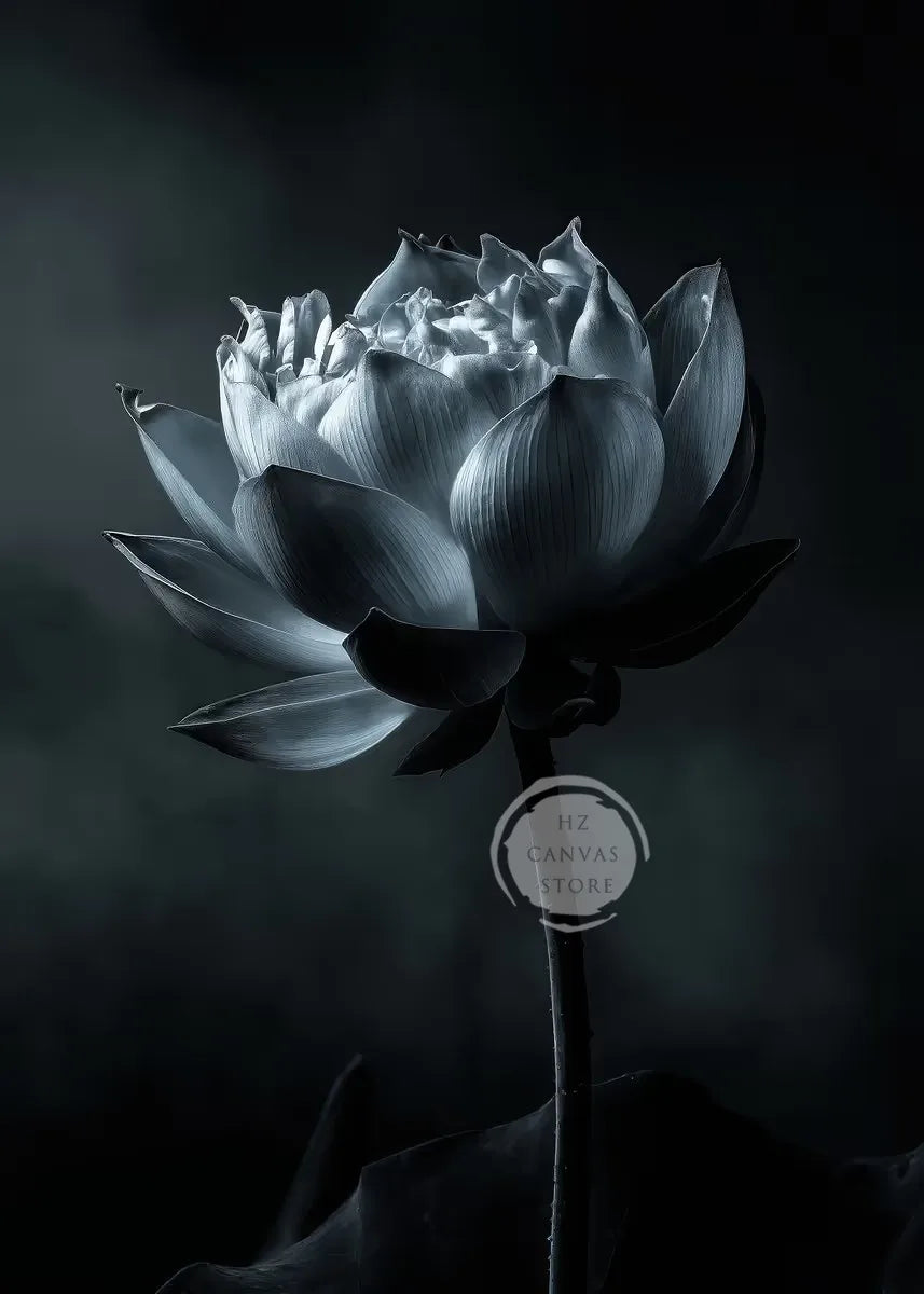 Monochrome Burning Rose & Calla Lily Art