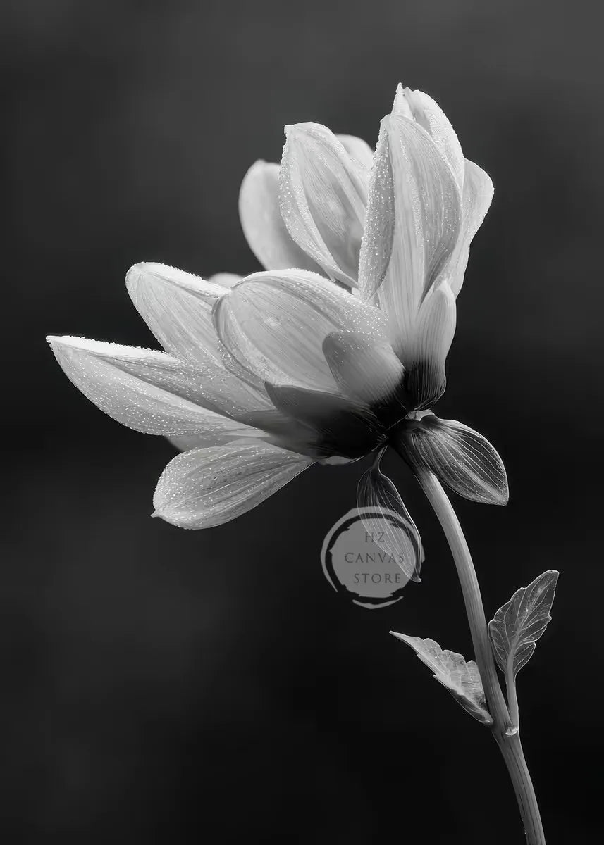 Monochrome Burning Rose & Calla Lily Art