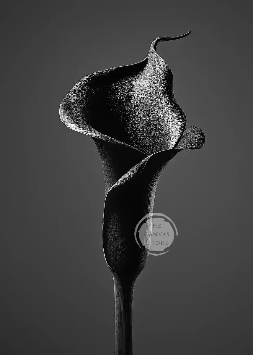 Monochrome Burning Rose & Calla Lily Art